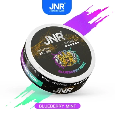 Blueberry Mint - JNR Nicotine Pouches