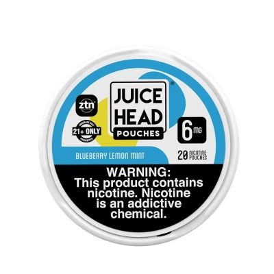 Blueberry Lemon Mint -  Juice Head ZTN Pouches