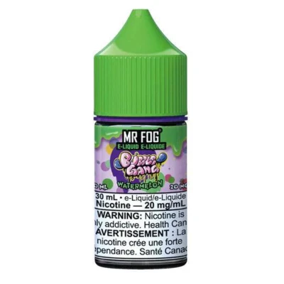 Watermelon - Bubble Gang - Mr Fog Salt 30mL
